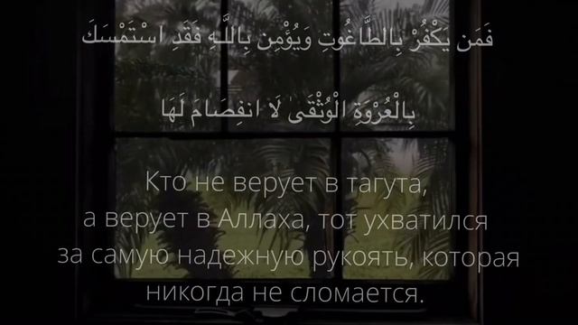 Рукия Ruqya الرقية Идрис Абкар(оригинальный текст +смысловой перевод)часть 1