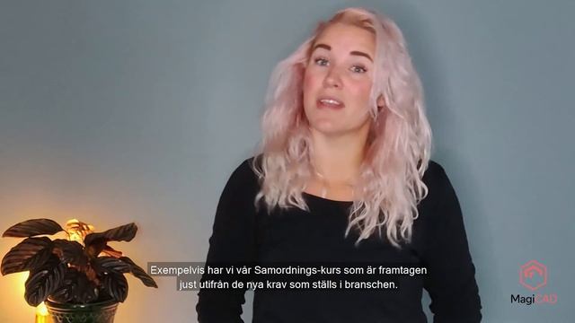 Hur jobbar jag smart och effektivt i MagiCAD? смотреть онлайн