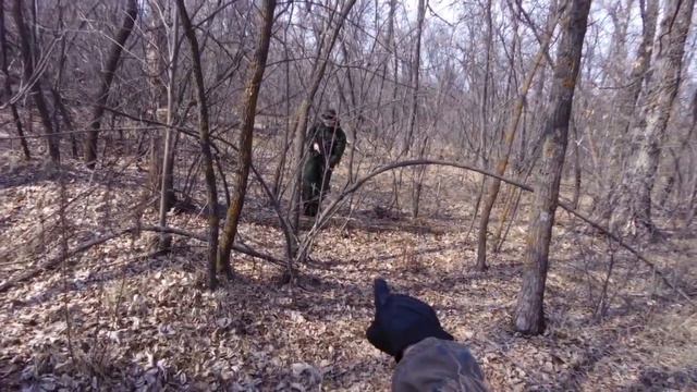 Открытая площадка 22.03.2015