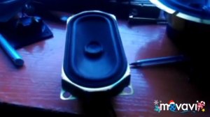 паль динамика