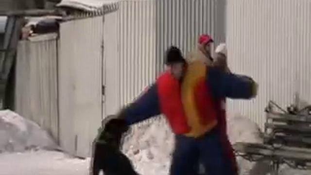 Защита хозяина. Карат. смотреть онлайн