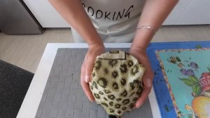 Чай из листьев малины и смородины,ферментация,заготовка.