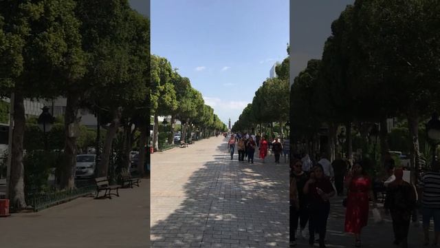 Avenue Habib Bourguiba - Tunisia's most famous street смотреть онлайн