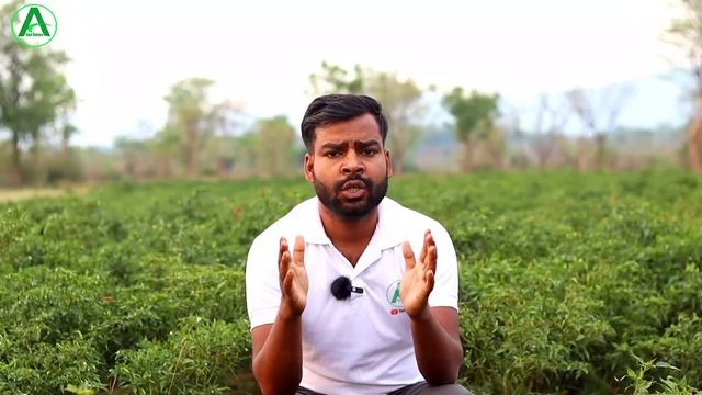 fasal me shampoo ke fayde || शैंपू को ऐसे करें फसल में इस्तेमाल फिर देखो कमाल ? смотреть онлайн