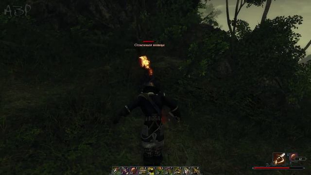 Risen 2: Dark Waters [Пещерная] #19 смотреть онлайн