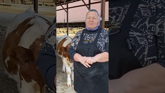 Экоферма для прогулок. Хутор метель. смотреть онлайн