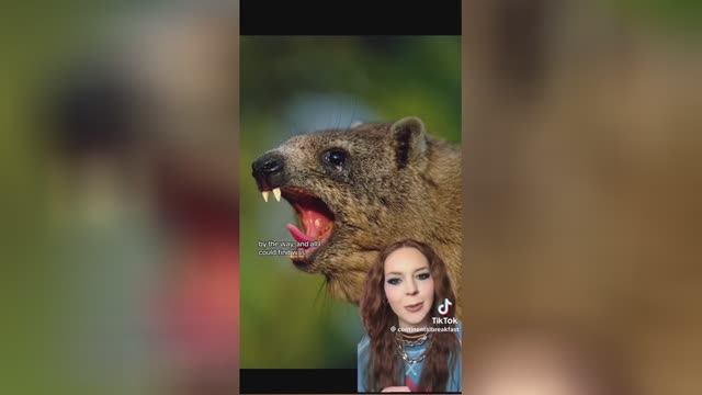 Best Video Of Tik Tok! 14.02.24 / 08