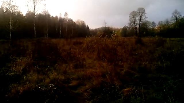 Стромынь.осень 2016 смотреть онлайн