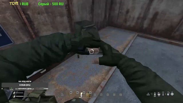 Движения на сервере Мирный день Z смотреть онлайн