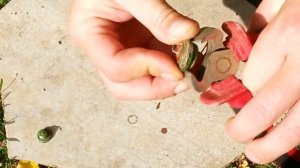 Два способа по вскрытию К52-2 и КТ808