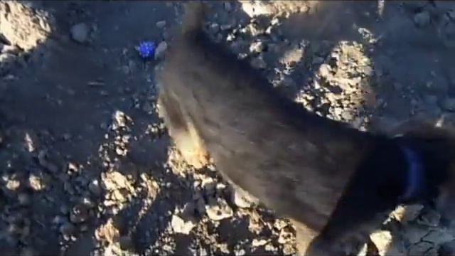 Арни на прогулке 4 мес