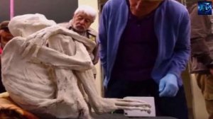 Трехпалая мумия из Перу / Неизвестный науке вид