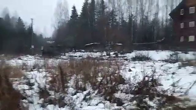 расчистка участка от деревьев и кустарников смотреть онлайн