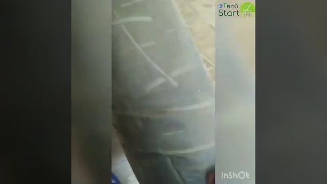 Чистка дивана Фада - Поверхность смотреть онлайн