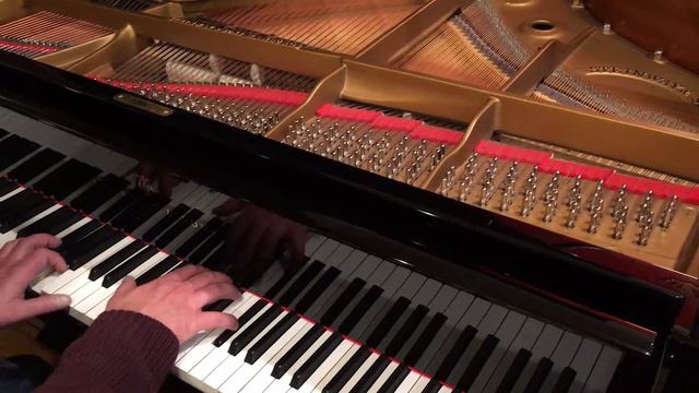 Piano a queue Steinway & Sons B 211 Noir 2 ***Occasion*** EML Pianos смотреть онлайн