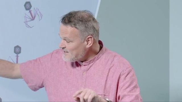 Штефан Ланка. Биология, которой нет.