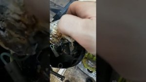 Насос pedrollo MCm12/50 разборка ремонт.