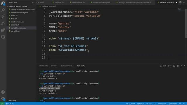 Shell Script tutorials - 9 - Rules for Naming Variable Name - Valid Variable Name in Shell Script смотреть онлайн