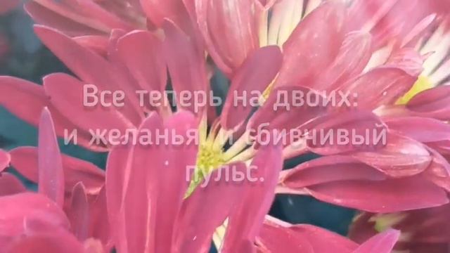 Стихотворение для любимого мужчины. Я так сильно тебя люблю... Стих, признание в любви... смотреть онлайн