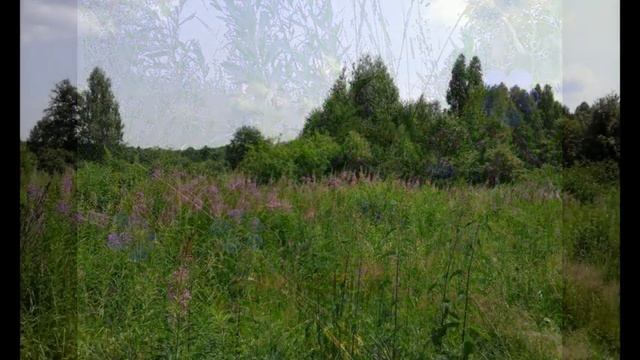 Лето это маленькая жизнь смотреть онлайн