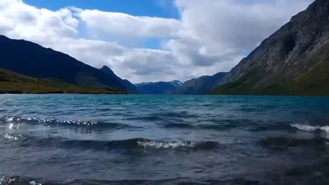 Soft Music Of Relaxation, Meditation With The Dance Of The Dolphins To Rest, Sleep Or Study.