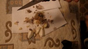 Проверка стали ZDP-189 на коррозионную стойкость