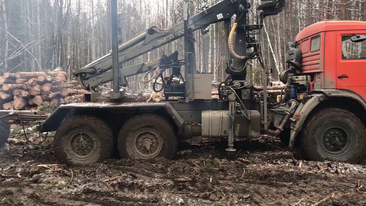Один день Работы в лесу 1 смотреть онлайн