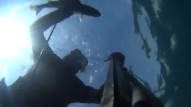 Подводный охотник нашел в море арбалет 100см! Underwater hunter in the sea - stock-crossbow 100 cm смотреть онлайн