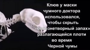 Когда услышал этот факт жуткие лица Коржика
