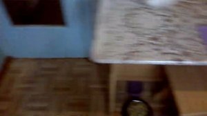 Как отмыть холодильник от запаха тухлого мяса.