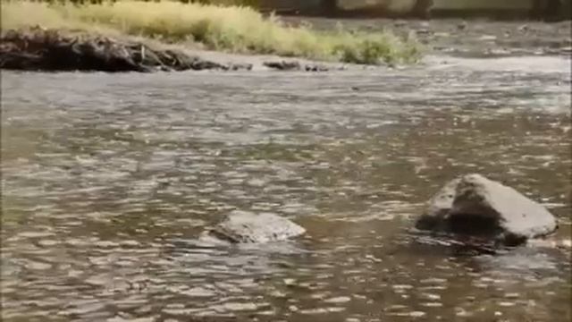 Зять думал, что напросится к нам работать, ему ничего не придется делать, но его ждало разочаровани смотреть онлайн