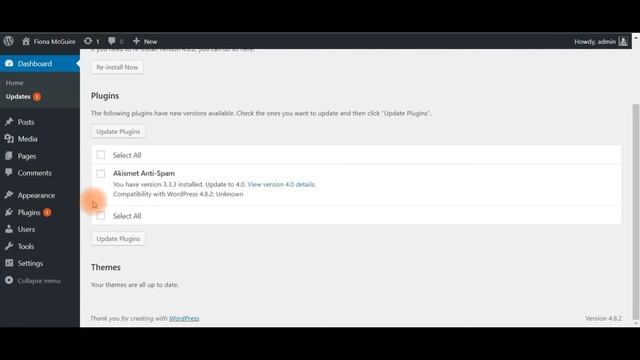 Wordpress Blog | Keeping everything up to date | Fiona McGuire смотреть онлайн