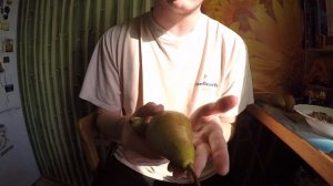 ДОЗРЕВАНИЕ ФРУКТОВ И ОВОЩЕЙ ДОМА