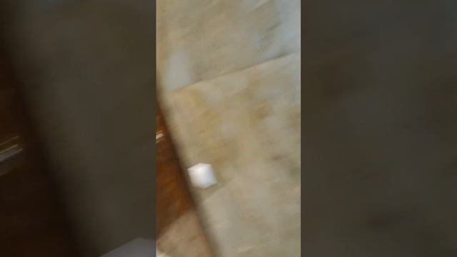 Одых Медвкжий уголок смотреть онлайн