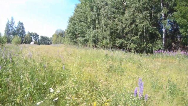 В ПОГОНЕ ЗА МЕТАЛЛОМ, ТРЕТИЙ ВЫЕЗД В ДЕРЕВНЮ ЗА МЕТАЛЛОМ. КОП МЕТАЛЛА! смотреть онлайн