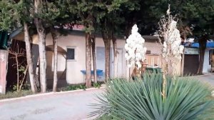 Я УЕДУ В АБХАЗИЮ ? ЗИМА В ГАГРЕ 2021 ЦЕНТРАЛЬНЫЙ ПЛЯЖ ПОСЛЕ ШТОРМА СМОТРИ МОЙ ТИК ТОК