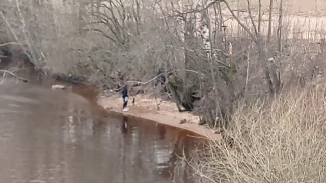 микропляжи СПб смотреть онлайн