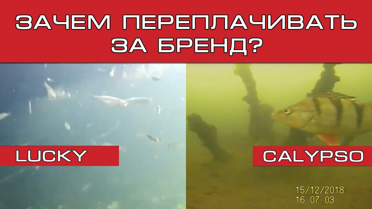 Calypso VS Lucky сравнение подводных камер для рыбалки смотреть онлайн