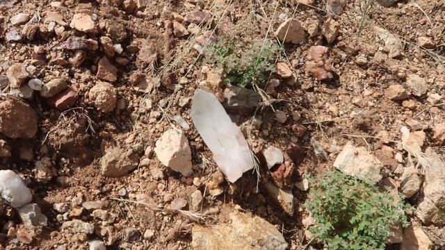 Prospecting For Gold Nuggets In Arizona With Metal Detectors, Also Find Huge Quartz Crystals