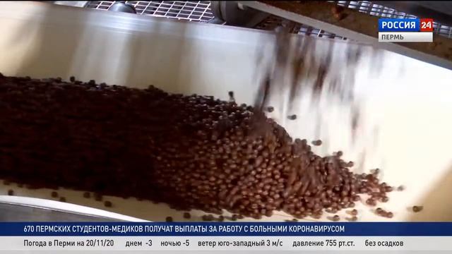 Всемирный день цельных злаков смотреть онлайн