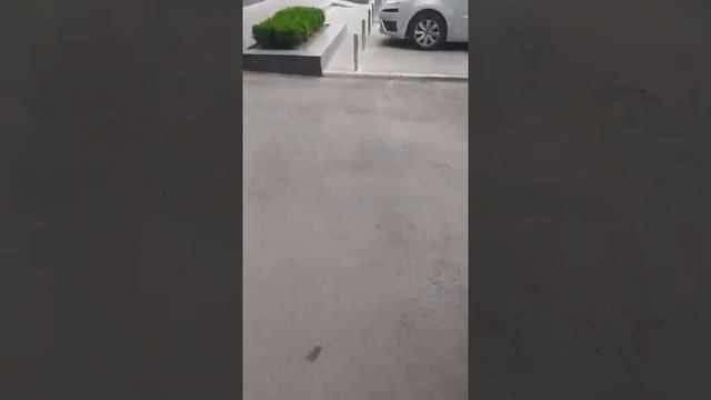 Узнала об Измене и Отомстила Месть за Измену Женская Месть Предательство Месть за Предательство смотреть онлайн