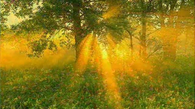 Листья жёлтые....wmv смотреть онлайн