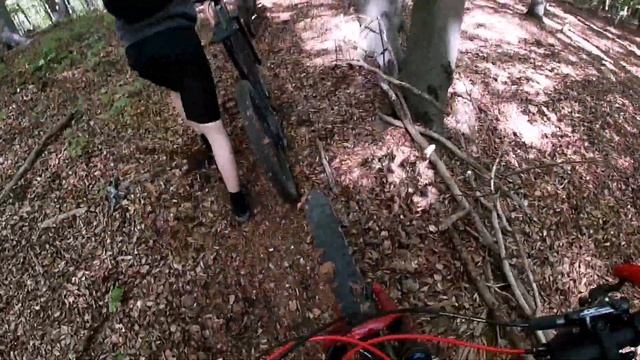 Meininger Trails (DG Meiningen) Downhill смотреть онлайн