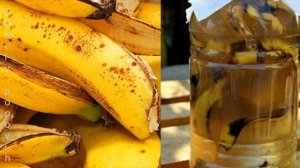 Подкормка Огурцов Банановой Кожурой Удобрение из Банановой Шкурки Банановая Кожура как Удобрение