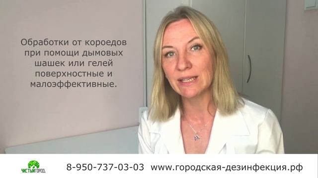 Короеды съедают деревянный дом. Что делать? смотреть онлайн