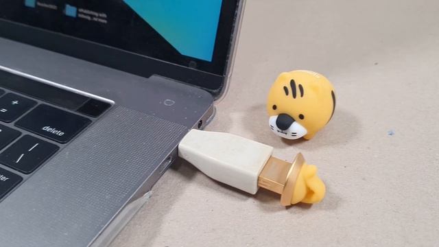 Unboxing: Kingston 2022 Mini Tiger USB Flash Drive 64GB