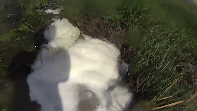 Кривское озеро, Курганская обл. смотреть онлайн