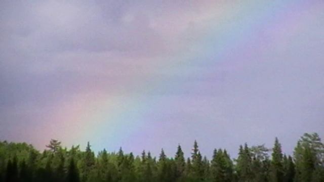 СЕВЕРНАЯ ПРИРОДА ПИНЕГА.mp4 смотреть онлайн