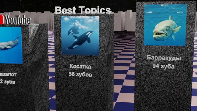 Сравнение Зубов Животных смотреть онлайн