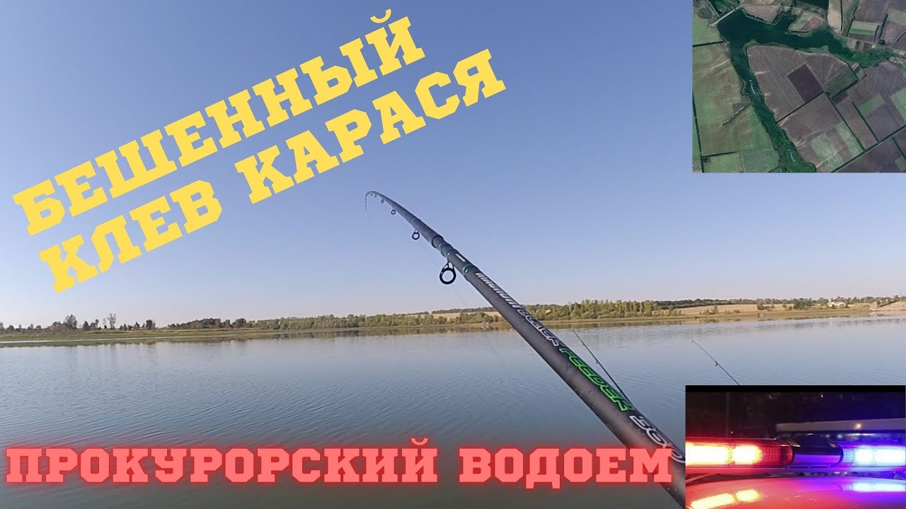 КАРАСИ на ПРОКУРОРСКОМ водоёме. РЫБАЛКА в Донецкой области на САМАРСКИХ ставках. Бешенный клев Ч.1 смотреть онлайн